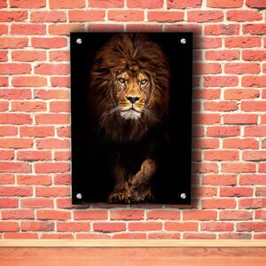 Walking Lion Acrylic Photo