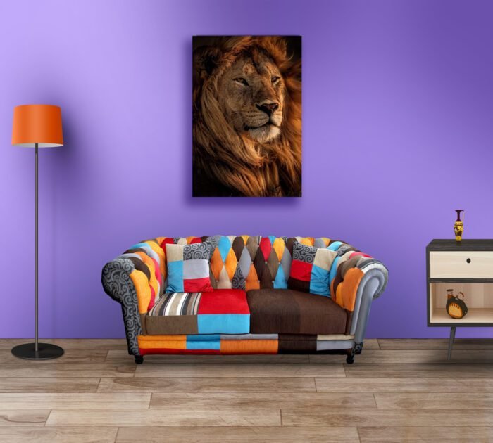African Lion Acrylic Photo