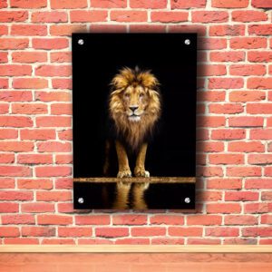 Standing Lion with Black Print Acrylic Photo