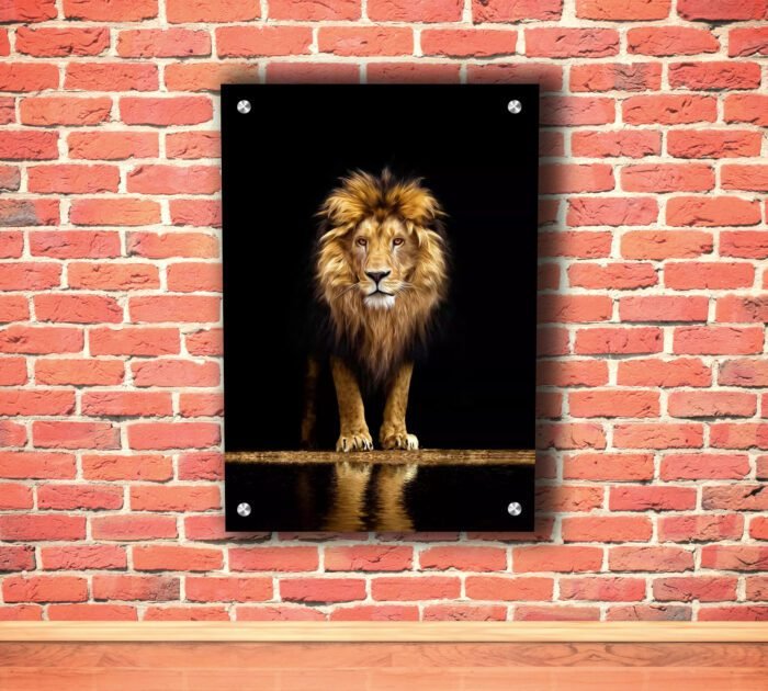 Standing Lion with Black Print Acrylic Photo