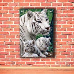 Two White Tigers Acrylic Photo