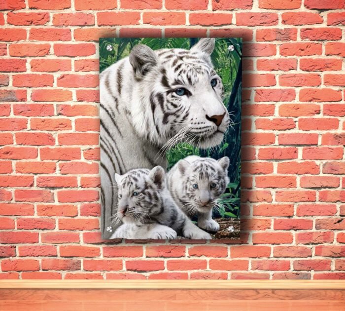 Two White Tigers Acrylic Photo