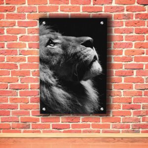 Roaring Lion with black Print Head Acrylic Photo