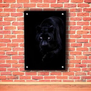 Black Panther Acrylic Photo