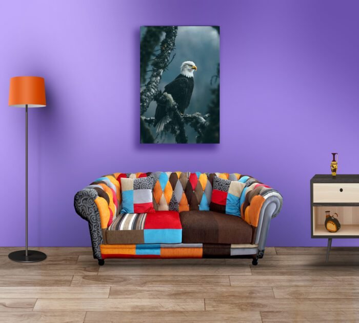 Bald Eagle Acrylic Photo