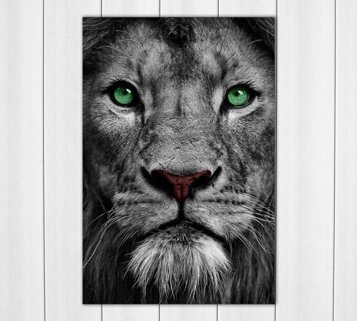 Green Eye Lion Acrylic Photo
