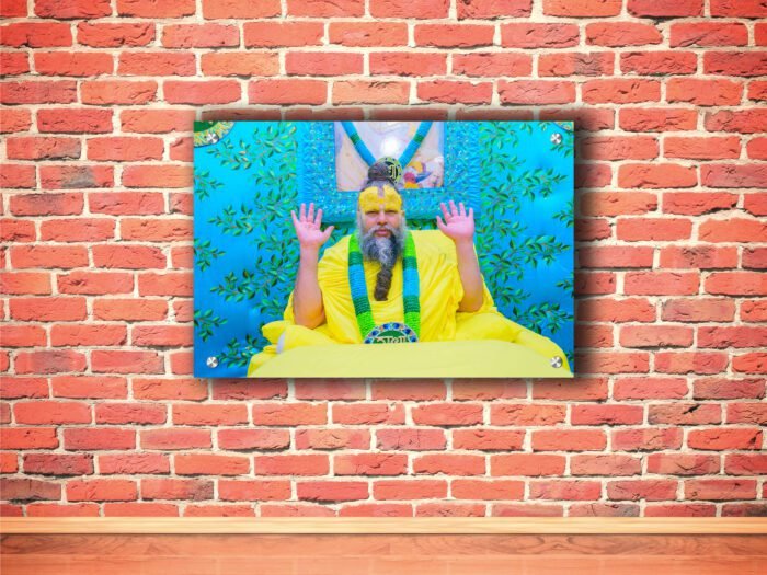 Darshan Of Shri Premanand Ji Maharaj Acrylic Photo